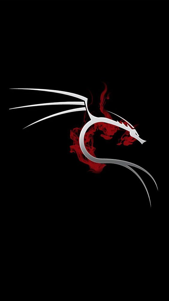 🐉 Kali Linux: Etik Hackerların Gücü – Güvenlik ve Sızma Testlerinin Temel Aracı